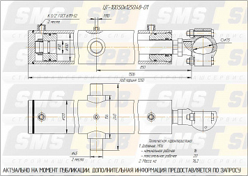 ЦГ-100.50х1250.48-01 Гидроцилиндр выноса рамы ДЗ-122.08.06.000-01